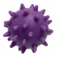 ASTRA BOLA BORRACHA CRAVO 53MM SORTIDA  PET
